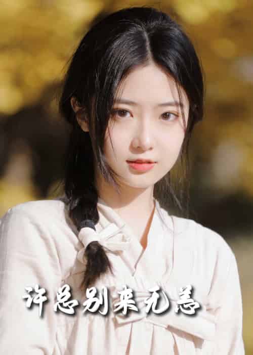 许总别来无恙（50集全）邢航铭-紫橙资源网