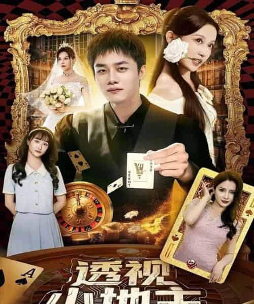 透视小地主   共74集-紫橙资源网