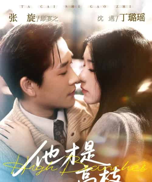 他才是高枝（77集全）张旋＆丁璐瑶-紫橙资源网