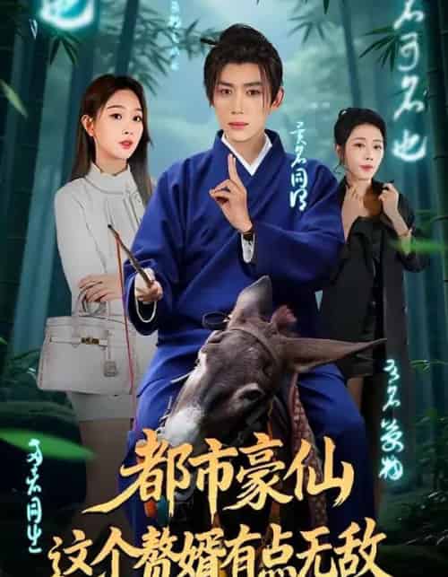 都市豪仙,这个赘婿有点无敌(84集全)刘檀嘉&彭千玲-紫橙资源网