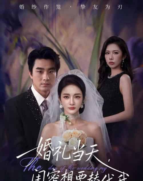 婚礼当天，闺蜜想要替代我（66集全）王小橙＆穆豪-紫橙资源网