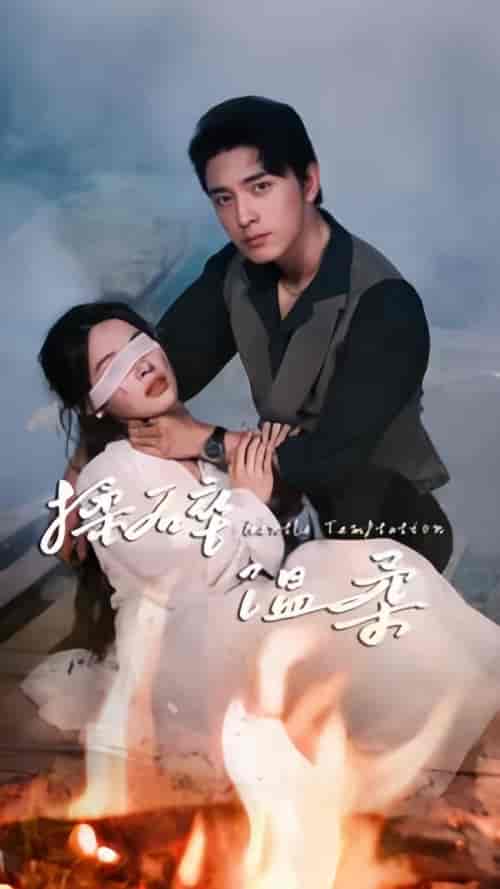 揉碎温柔（100集）-紫橙资源网