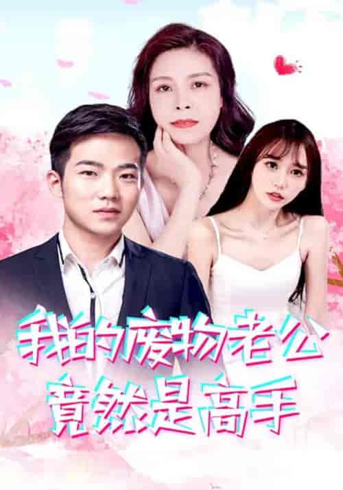 我的废物老公竟然是高手（100集）燕子-紫橙资源网