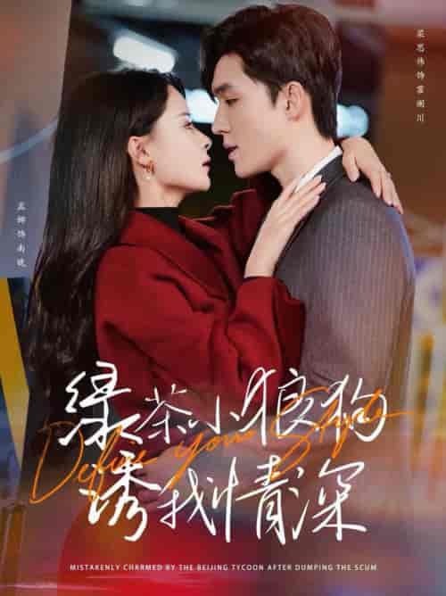 绿茶小狼狗诱我情深（101集全）梁思伟＆孟娜-紫橙资源网