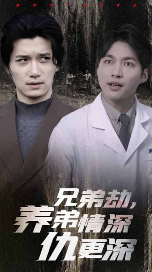 兄弟劫养弟情深仇更深（28集全）-紫橙资源网