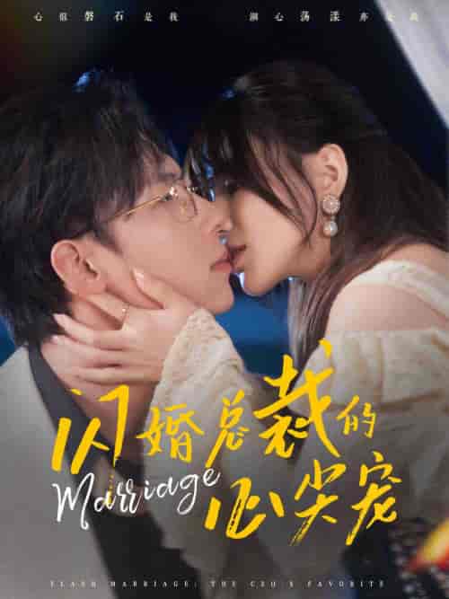 闪婚总裁的心尖宠（77集全）王钰臻＆夏婧苒-紫橙资源网