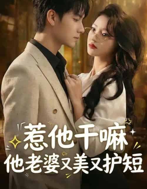 惹他干嘛他老婆又美又护短（30集全）罗潜宇＆郭菁妮-紫橙资源网