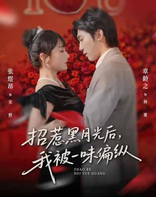 招惹黑月光后，我被一味偏纵（80集全）张煜昂＆章龄之-紫橙资源网