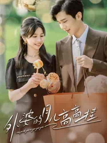 外婆的月儿高高挂（64集）-紫橙资源网