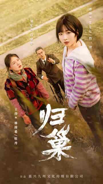 归巢（80集） - 紫橙短剧