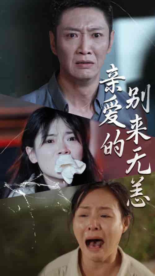 亲爱的别来无恙（36集全）-紫橙资源网