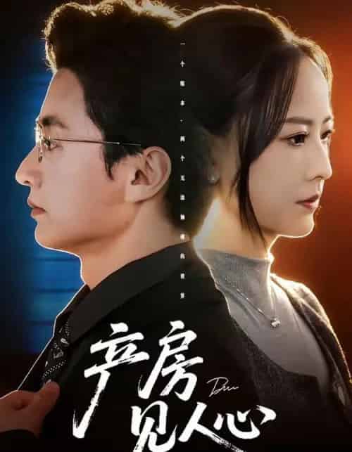 产房见人心（98集全）珑一＆任燕-紫橙资源网