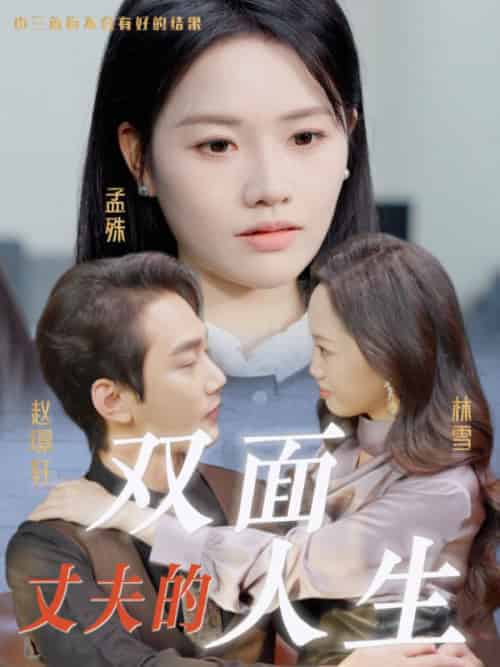 丈夫的双面人生（30集全）-紫橙资源网