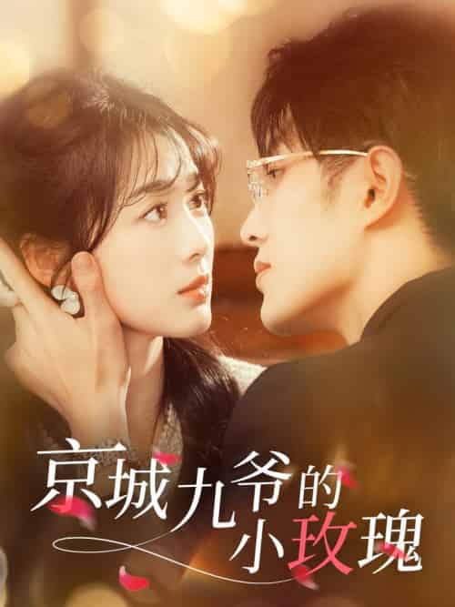 京城九爷的小玫瑰（85集全）冯祥琨＆徐思祁-紫橙资源网