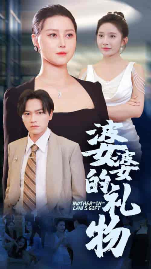 婆婆的礼物（30集）-紫橙资源网