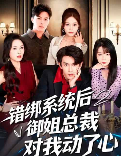 错绑系统后御姐总裁对我动了心（60集全）沈照程＆郑洋-紫橙资源网