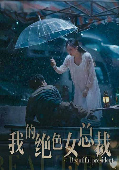 我的绝色女总裁（90集全）叶凡＆苏清雅-紫橙资源网