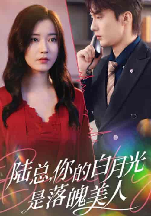 陆总，你的白月光是落魄美人（39集全）陆廷叶＆夏彤-紫橙资源网