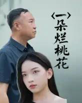 一朵烂桃花(25集)-紫橙资源网