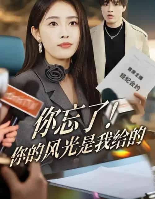 你忘了！你的风光是我给的（51集全）刘星辰＆大志-紫橙资源网