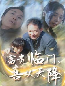 富贵临门,喜从天降(18集全)-紫橙资源网