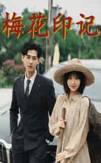 梅花印记（48集）-紫橙资源网