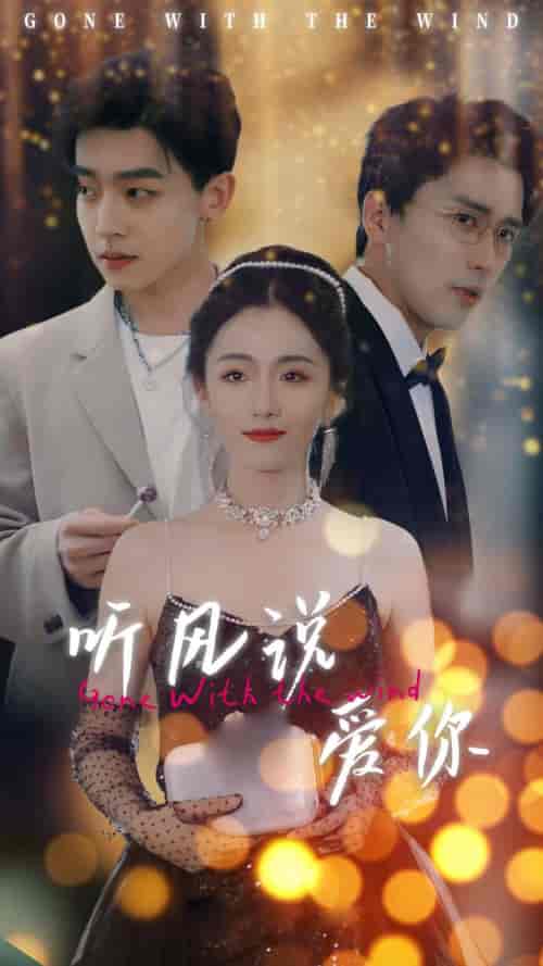 听风说爱你(72集)-紫橙资源网