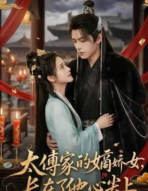 太傅家的嫡娇女长在了他心尖上（74集全）-紫橙资源网