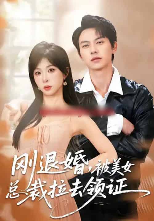 刚退婚，被美女总裁拉去领证（81集全）胡耀＆李沐汐-紫橙资源网