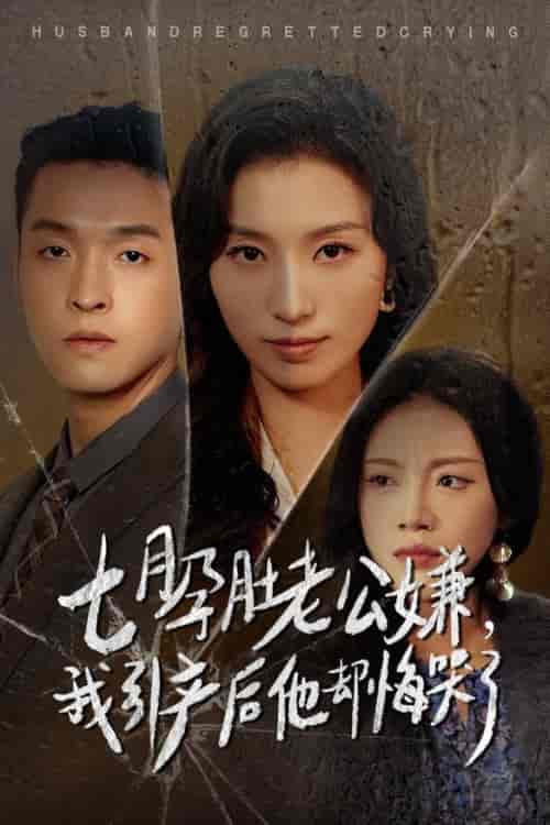 七月孕肚老公嫌我引产后他却悔哭了（44集全）虞彤彤-紫橙资源网