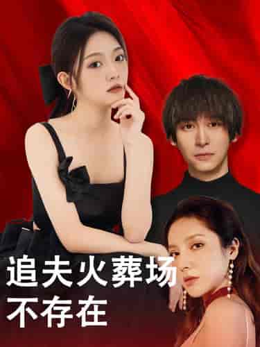 追夫火葬场不存在(100集)-紫橙资源网