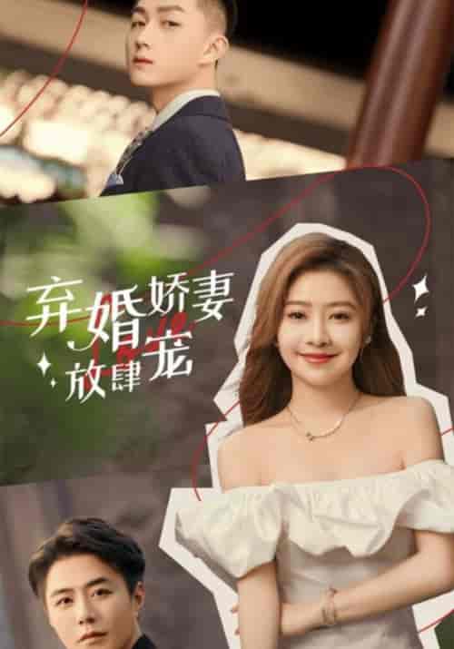 弃婚娇妻放肆宠（100集全）霍君墨＆韩景心-紫橙资源网