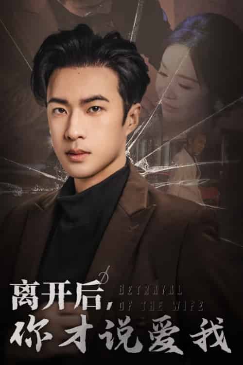 离开后你才说爱我＆心如枯木难逢春（30集）孔奇力-紫橙资源网