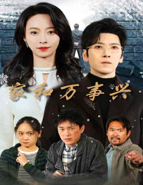 家和万事兴（30集全）-紫橙资源网