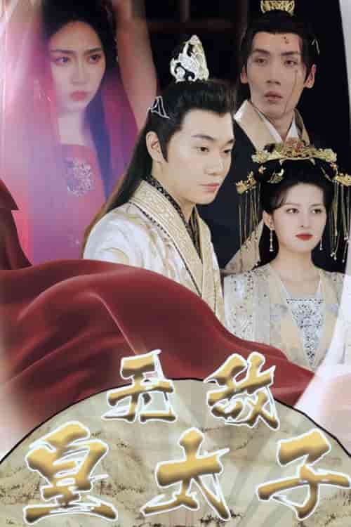 无敌皇太子-紫橙资源网