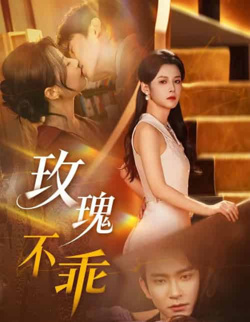 玫瑰不乖（69集全）王已歌＆谭雯文-紫橙资源网