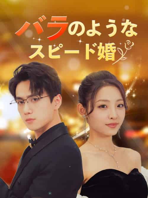バラのようなスピード婚（日本語吹替版）（106集全）傳川景衡＆青葉夢子-紫橙资源网