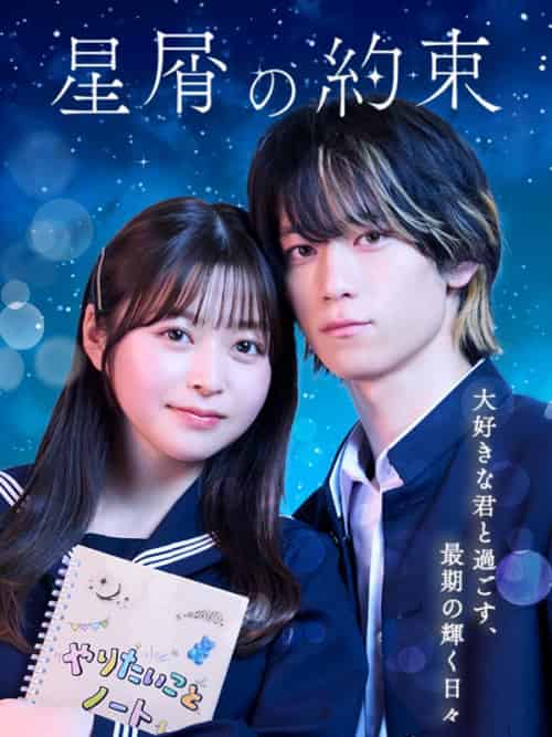 星屑の約束（41集全）-紫橙资源网