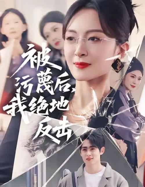 被污蔑后，我绝地反击（50集全）李小风＆程琳淼-紫橙资源网