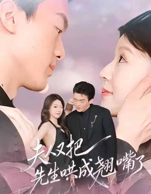 夫人又把先生哄成翘嘴了（60集全）丁铭＆陈俊如-紫橙资源网