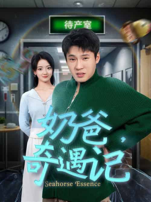 奶爸奇遇记（60集全）刘宇航-紫橙资源网