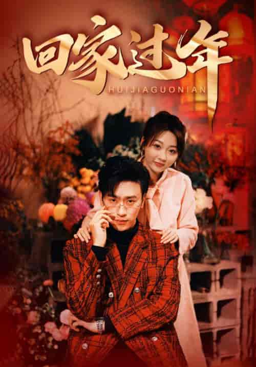 回家过年（74集）-紫橙资源网