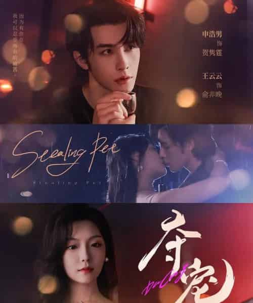 夺宠(88集全)申浩男&王云云-紫橙资源网