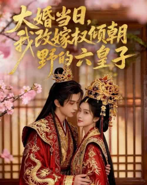 大婚当日，我改嫁权倾朝野的六皇子（30集全）AI-紫橙资源网