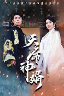 天命神婿（80集） - 紫橙短剧