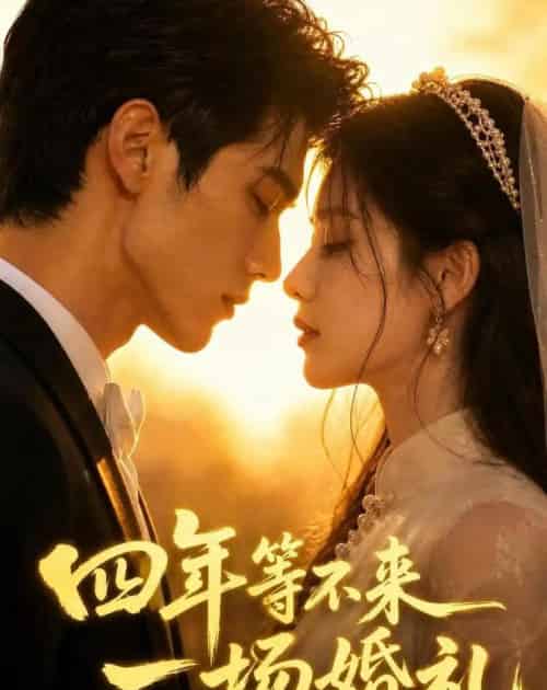 四年等不来一场婚礼（35集全）AI-紫橙资源网