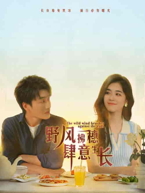 野风拂穗肆意生长(48集)-紫橙资源网