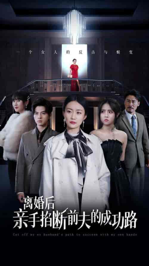 离婚后亲手掐断前夫的成功路（49集全）-紫橙资源网