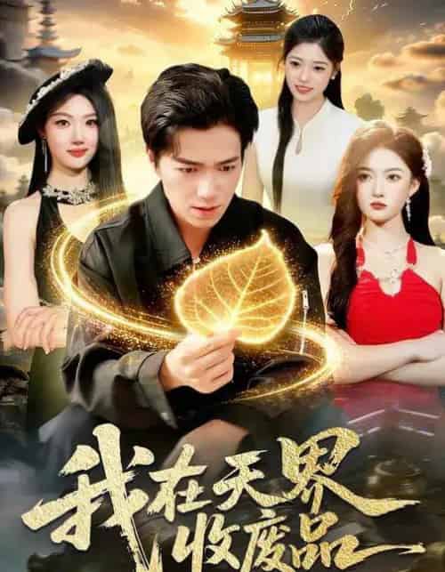 我在天界收废品（90集全）钟展鸿＆陈禺宏-紫橙资源网