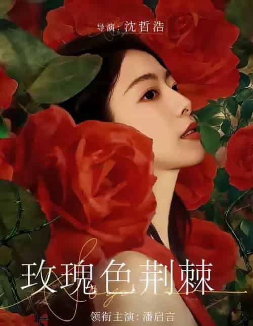 玫瑰色荆棘(60集全)潘启言&张策-紫橙资源网